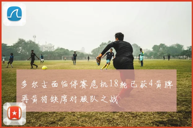 多尔古面临停赛危机18轮已获4黄牌再黄将缺席对狼队之战